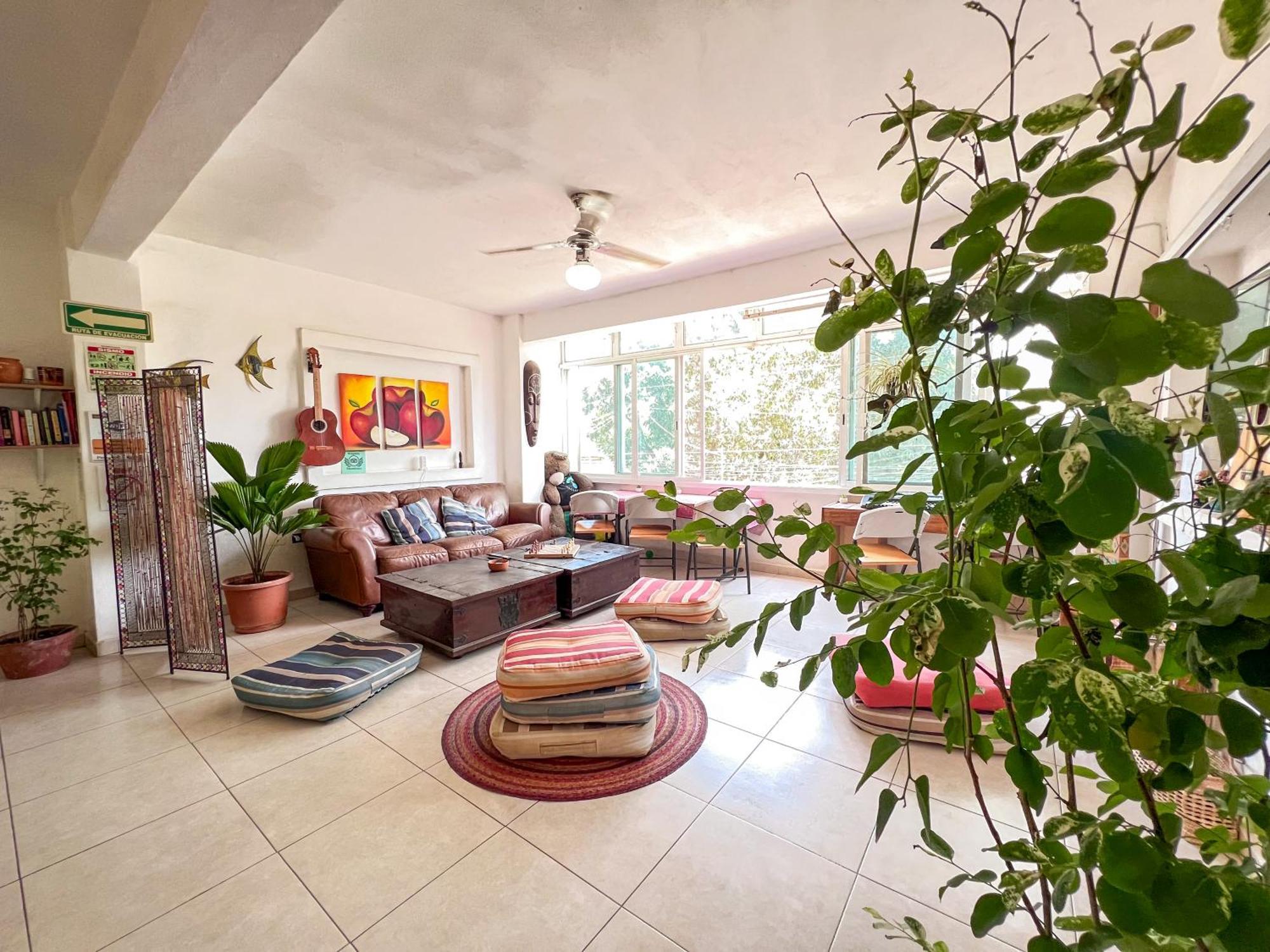 Ith Sayulita Amazing Surf Hostel Luaran gambar
