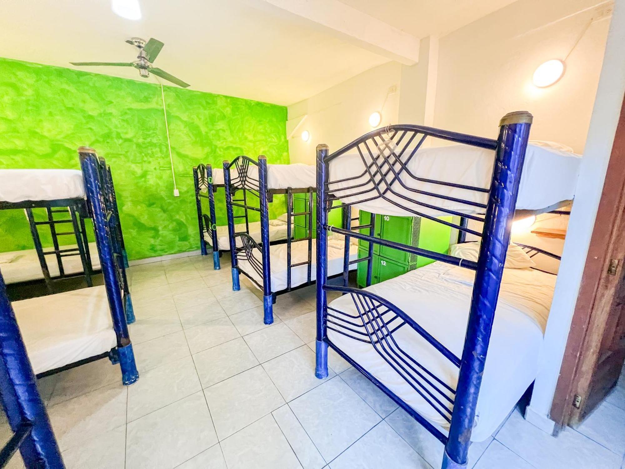 Ith Sayulita Amazing Surf Hostel Luaran gambar
